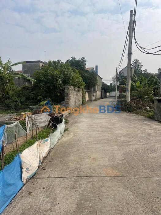 Đất nền Thôn Ngọ Chuyên Mỹ 100m² 3.35 tỷ - Đường to ô tô