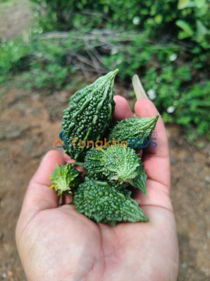 Nhà Nguyễn Duy Trinh Long Trường 136.5m² 7.5 tỷ - Chính chủ