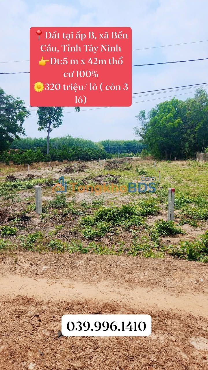 Đất Tiên Thuận Bến Cầu 210m² 320 triệu - Giá tốt hiếm có