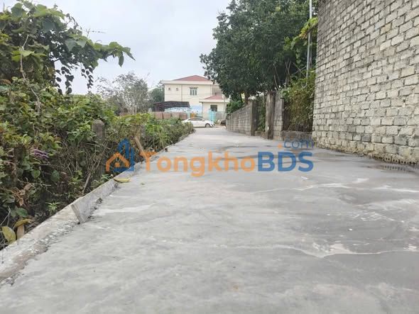 Đất thổ cư Triệu Sơn 325m² giá mềm - Sổ đỏ chính chủ