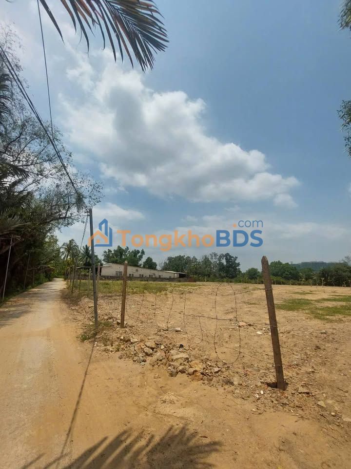 Kho xưởng Quận 9 7.000m² giá 100 triệu - Gần trục Nguyễn Duy Trinh