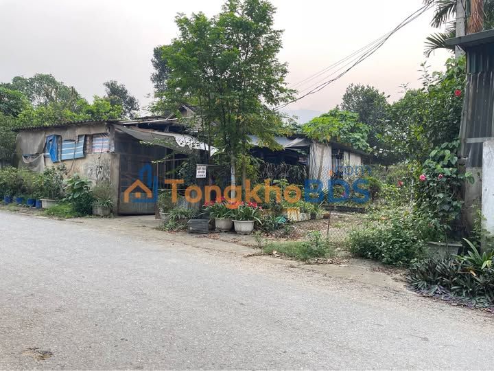 Nhà vườn Bản Bay Gia Phú 3.000m² 2 tỷ - Sẵn sàng ở