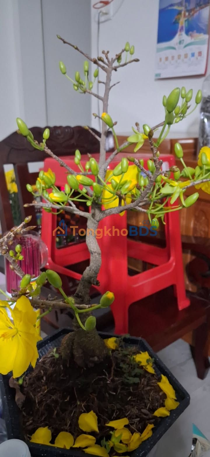 Đất nền Long Tân 128m² 820 triệu - Thổ cư 100%