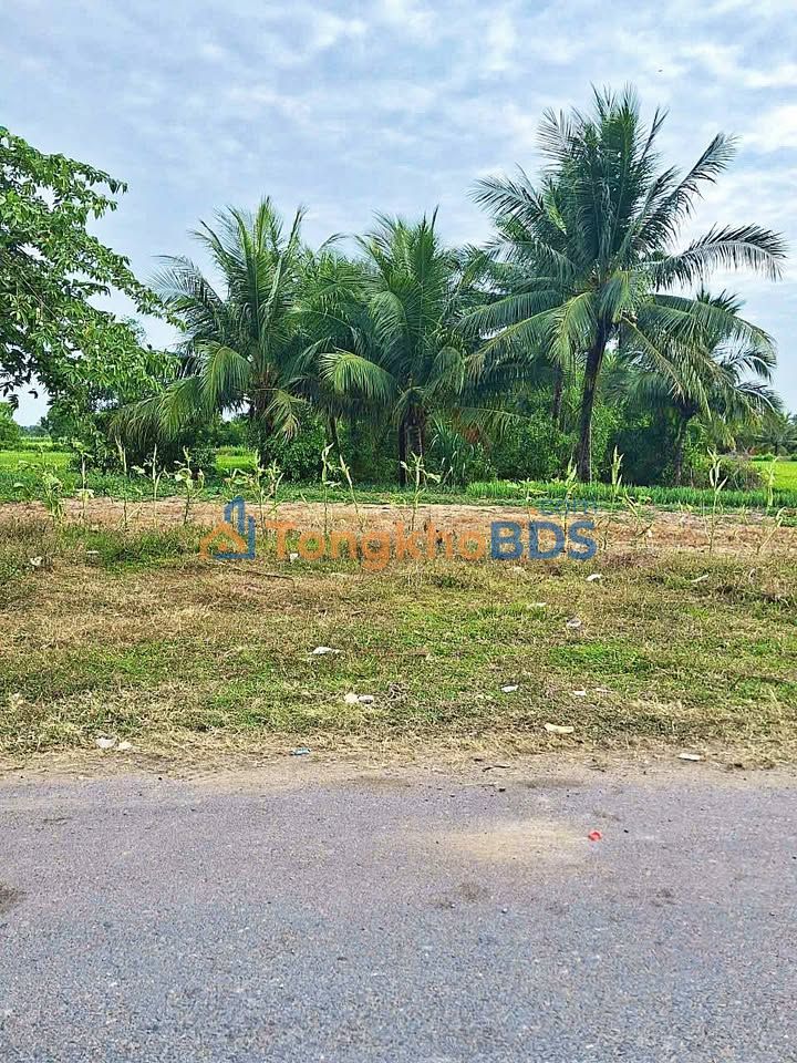 Đất nền Trà Vinh 114m² giá 1 tỷ - Hạ tầng hoàn thiện