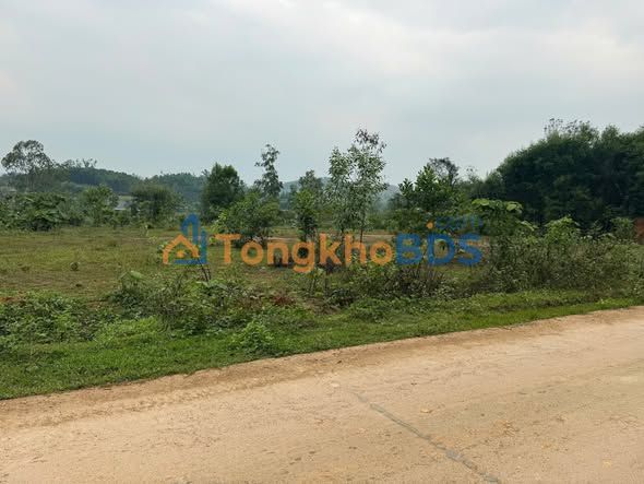 Đất nền Xóm Quy Hậu Kỳ Tân 384m² 600 triệu - Sổ đỏ