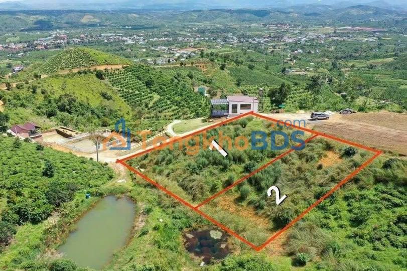 Đất nền Lộc Thành Bảo Lộc 500m² 450 triệu - Sổ đỏ chính chủ