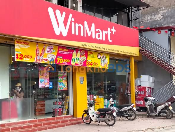 Đất nền Đông Anh 60m² 100 tỷ - Sổ đỏ chính chủ