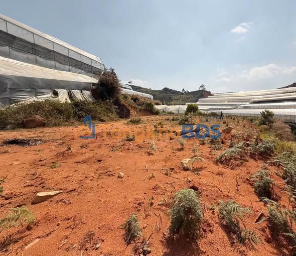 Đất vườn Đà Lạt P.7 4.600m² 2.2 tỷ - Nghỉ dưỡng lý tưởng