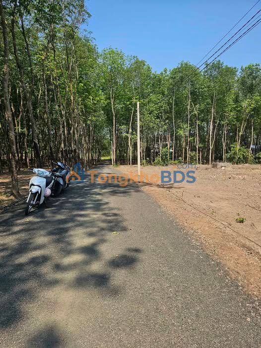 Đất nền Khu phố 7 Đồng Xoài 225m² 4xx triệu - Sổ đỏ chính chủ