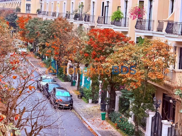 Townhouse Long Hung Vinhomes Ocean Park 2 63m2 8.7 tỷ - Chính chủ