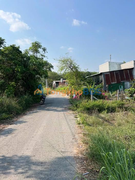 Đất nền Long Tân Tân Uyên 250m² 5xx triệu - Đầu tư