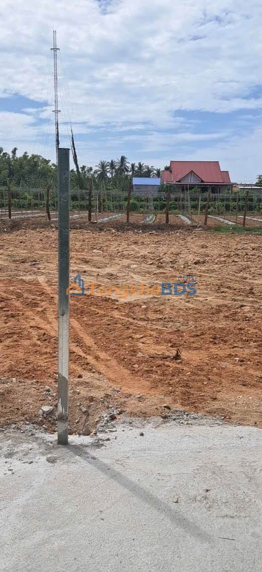Farm Phường Bảo An Phan Rang 500m² giá 700 triệu - Sổ đỏ rõ ràng