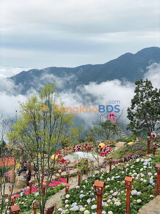 Nhà nguyên căn Hoàng Quốc Việt 60m² 35 triệu - Ô tô vào nhà