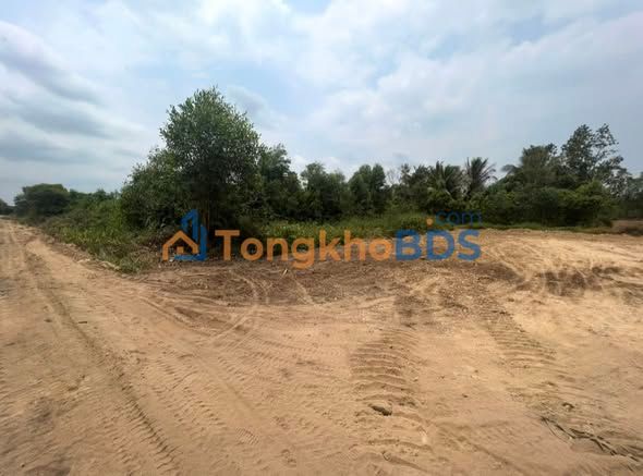 Đất nền Hựu Thạnh Đức Hòa 165m² 900tr - Tiềm năng tăng giá