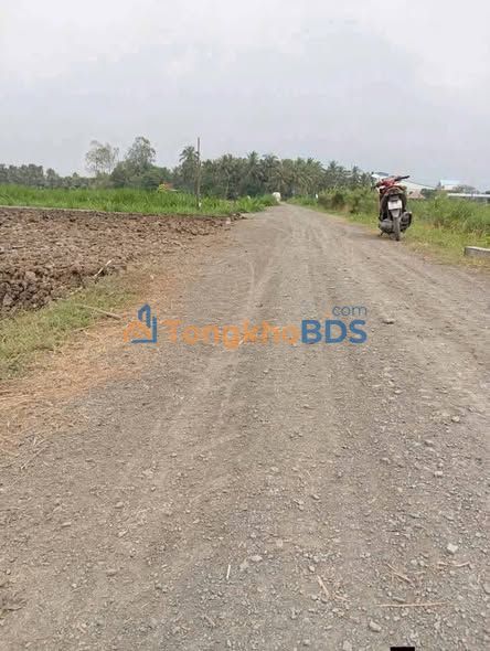 Đất nền Thạnh Trị Gò Công Tây 247m² 295 triệu - Sổ đỏ chính chủ