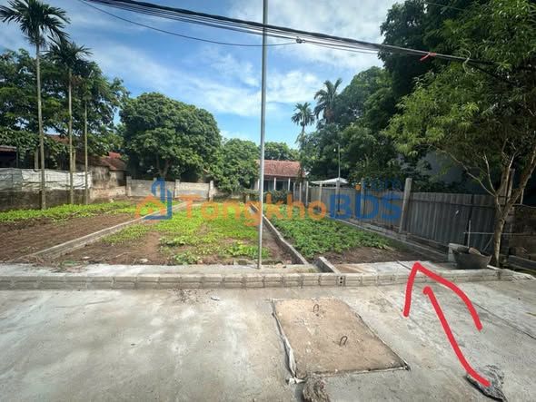 Đất nền Phú Thịnh Kim Động 80m² 1 tỷ - Sổ đỏ chính chủ