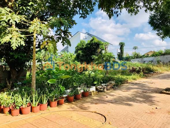 Mặt bằng kinh doanh Hương Lộ 2 Bà Rịa 442m² - Mặt tiền kinh doanh