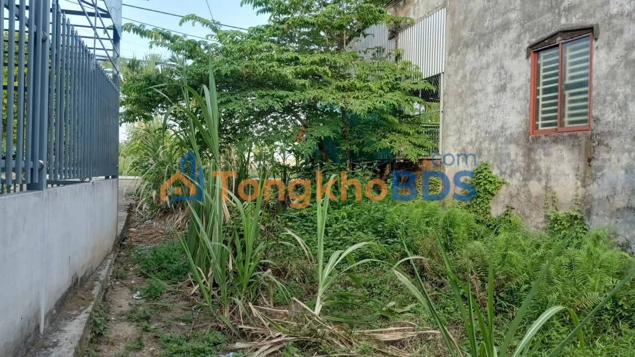 Đất nền Trương Vĩnh Nguyên Cần Thơ 100m² Sổ đỏ chính chủ