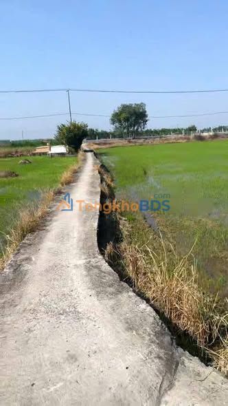 Đất vườn Thủ Thừa Long An 500m² 550 triệu - Đầu tư dài hạn