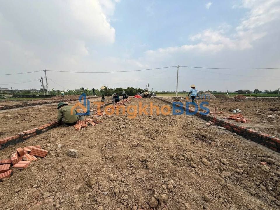 Đất An Cường Lương Tài 100m² 1.1 tỷ - Giá F0 CĐT