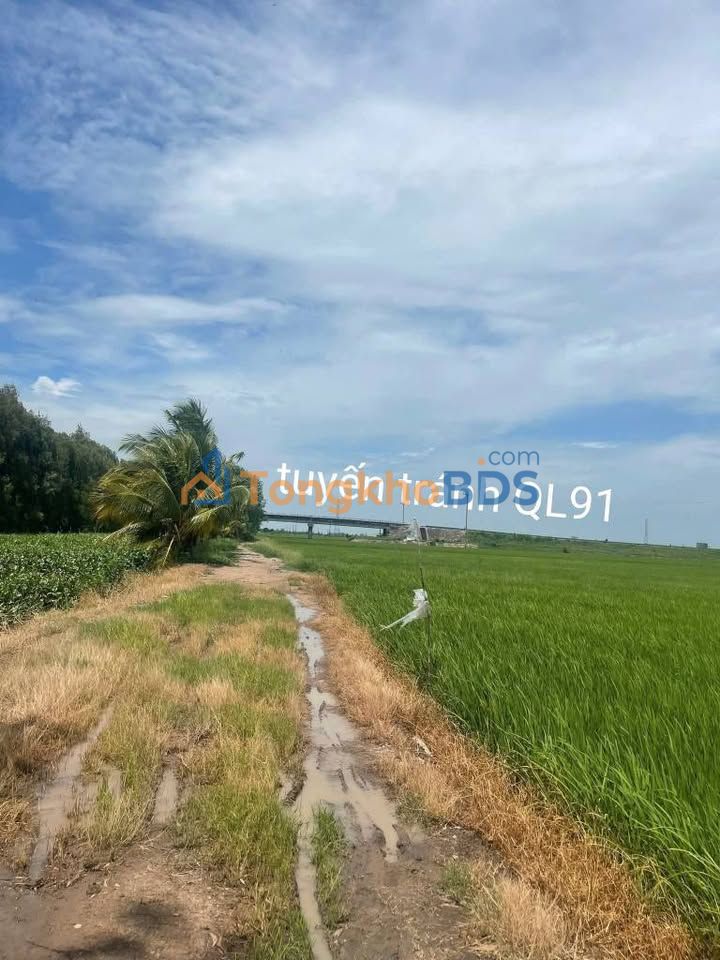 Đất ruộng Núi Sam 12 công Kênh 7 4.2 tỷ - Đường to ô tô