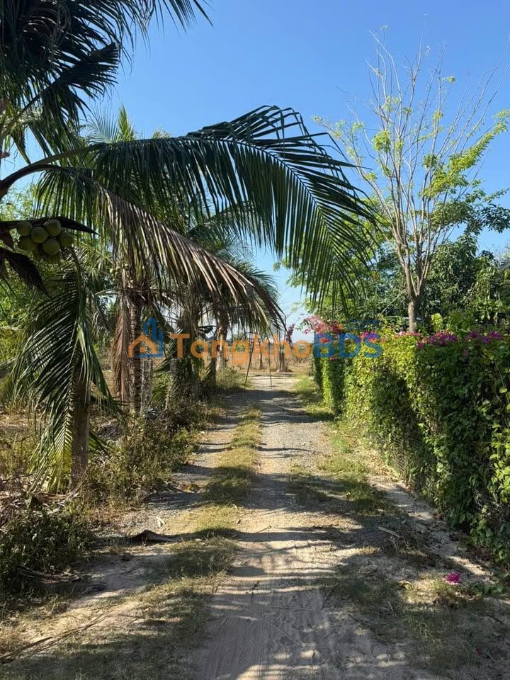 Đất nền Hàm Chính 100m² 260 triệu - Giá tốt hiếm có