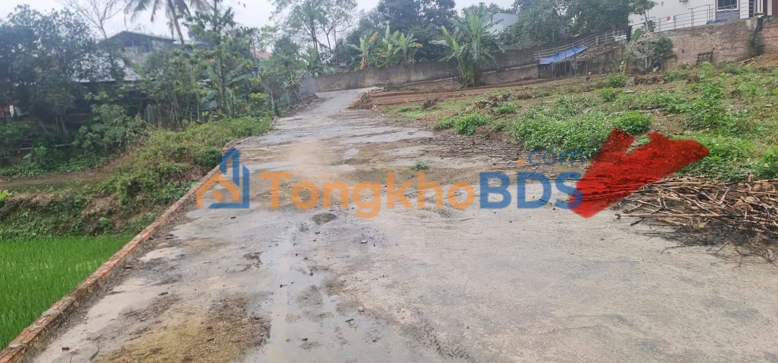 Đất nền Tam Sơn Sông Lô 225m² thỏa thuận - Sổ đỏ chính chủ