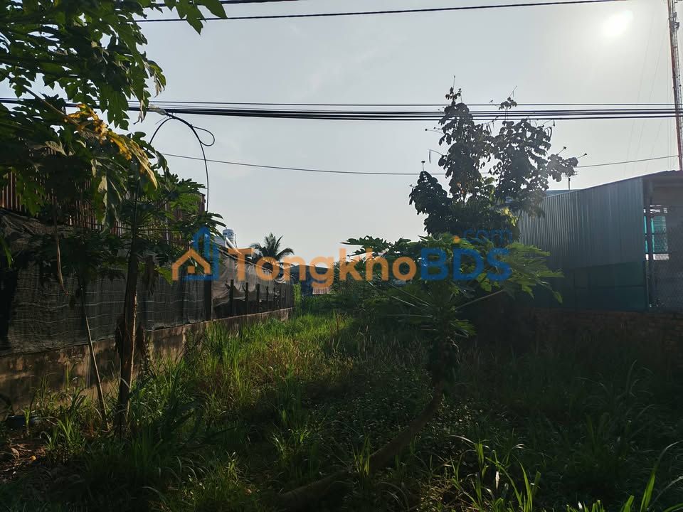 Đất nền Trảng Bàng 490m² 330tr - Sổ đỏ chính chủ sẵn sàng