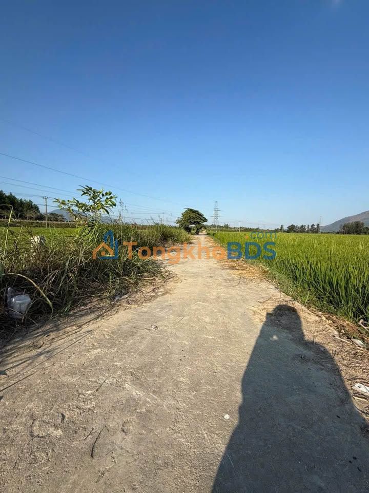 Đất lúa Diên Lạc 1368m² 350 triệu - Sổ đỏ chính chủ