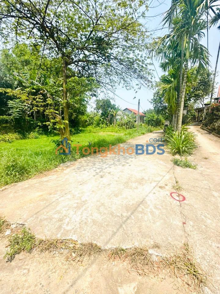 Đất nền Hòa An Cẩm Lệ 165m² giá 5xx triệu - Sổ đỏ chính chủ