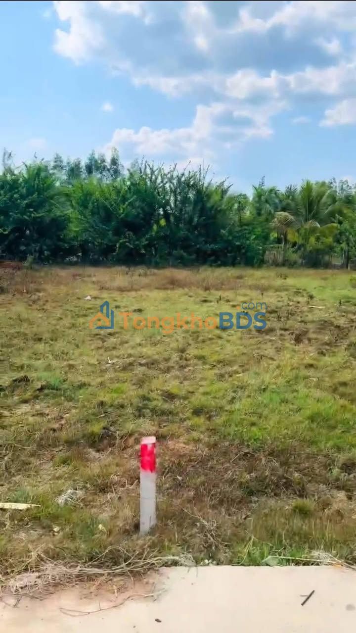 Đất Xuân Trường Xuân Lộc 90m² 430 triệu - Sổ đỏ chính chủ