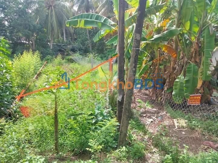 Đất nền Nguyễn Văn Thảnh Vĩnh Long 87m² giá 290 triệu - Đất thổ cư 100%