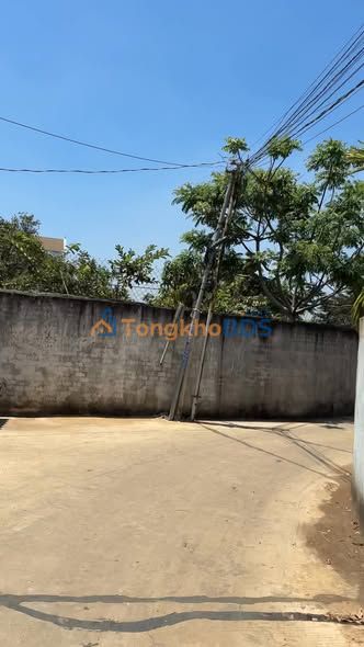 Đất nền Ea Kly Krông Pắc 240m² 15.6 tỷ - Đường to ô tô