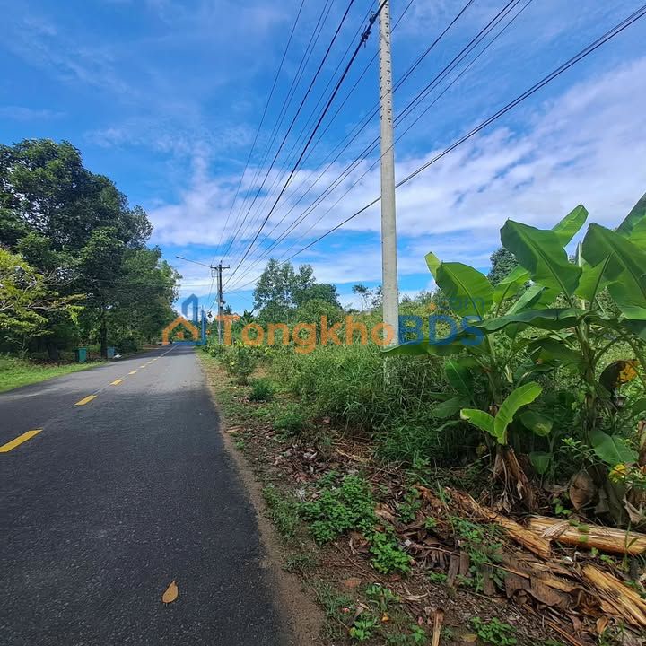 Đất nền Di Linh 100m² 500 triệu - Đất thổ cư 100%