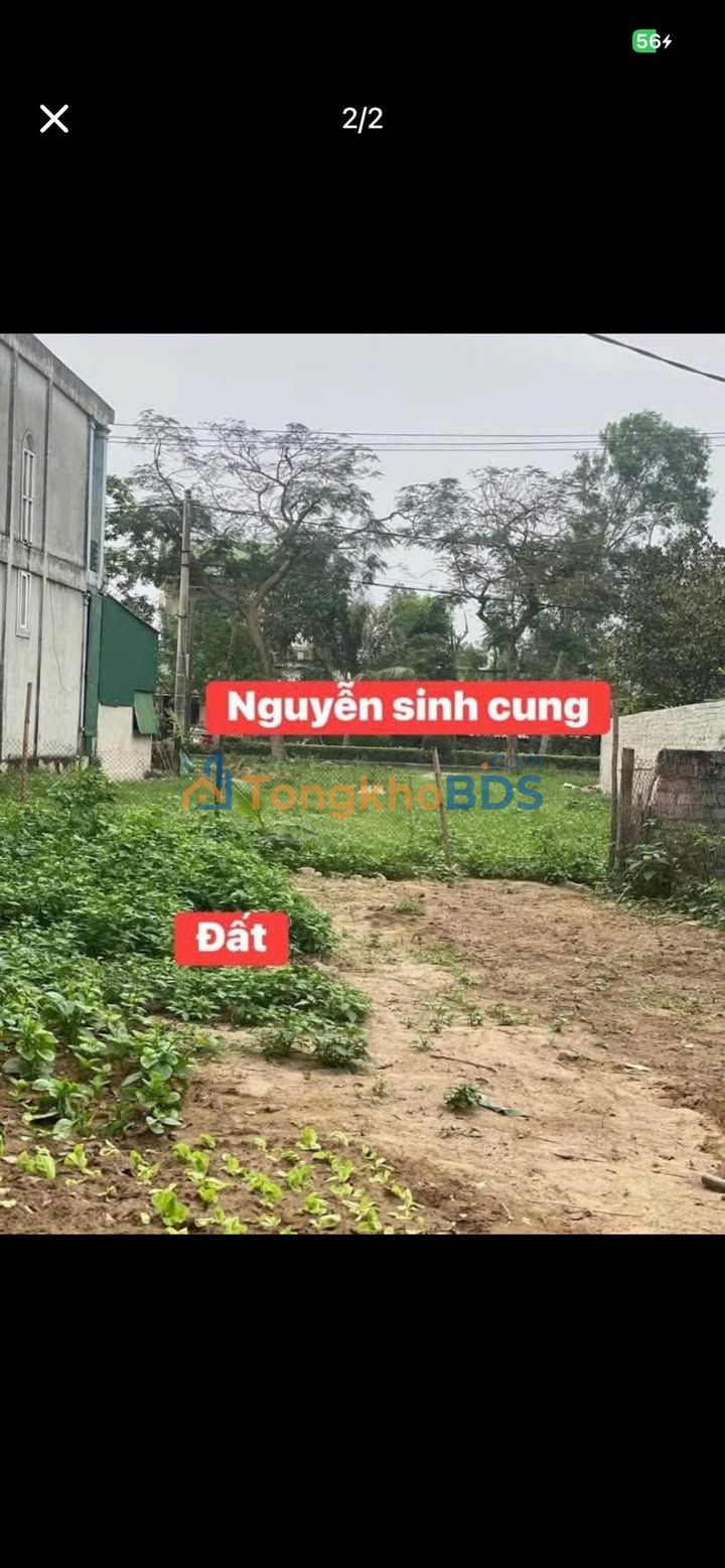 Đất Nguyễn Sinh Cung Vinh 82m² 900 triệu - Đường to ô tô