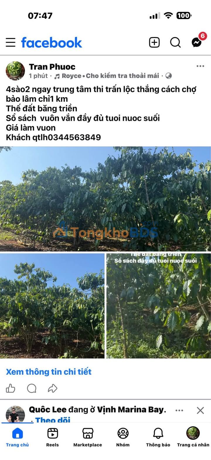 Đất nền Lộc Thắng 1512m² - Pháp lý rõ ràng