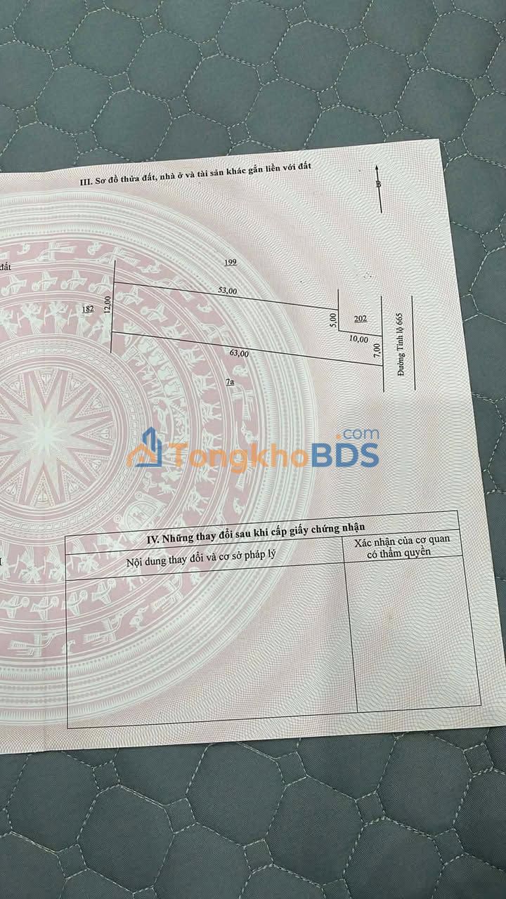 Đất nền TL 675 Ia Pia 756m² 45.36 tỷ - Xây dựng tự do