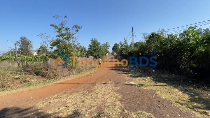 Đất nền Chư Sê 500m² - Sổ đỏ chính chủ