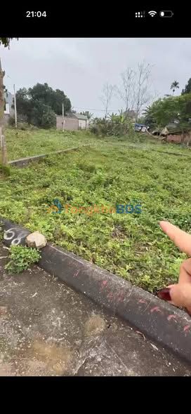 Đất nền Thăng Long Ba Vì 94m² 3 tỷ - Sổ đỏ chính chủ