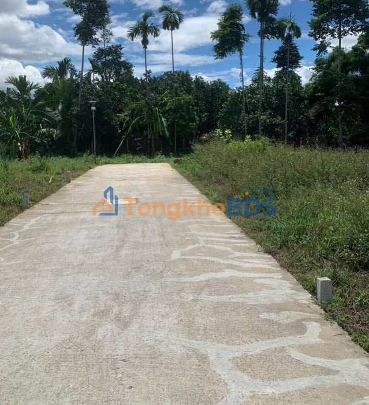 Đất Lưu Bảo Huế 100m² 1,35 tỷ - Hạ tầng hoàn thiện