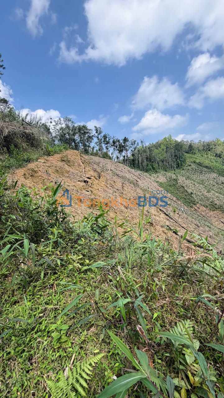 Farm Tân Yên Tràng Định 50ha 150 tỷ - Sổ đỏ chính chủ