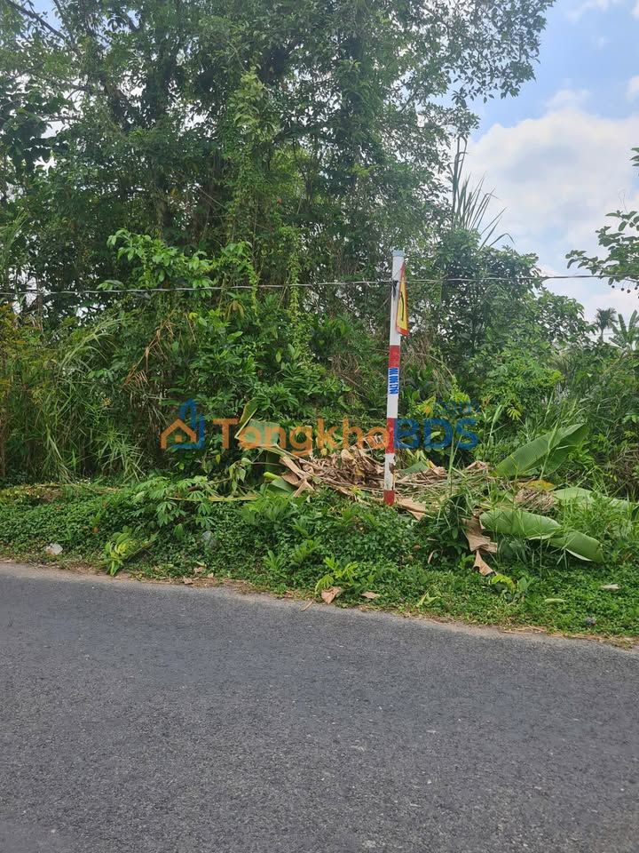 Đất Lê Hồng Phong Lai Vung 127m² 2 tỷ - Giá tốt hiếm có