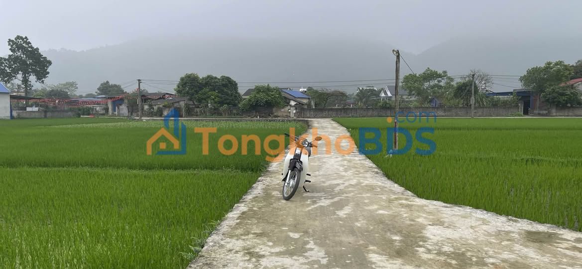 Đất nền Vạn Thọ Đại Từ 366m² 360 triệu - Lô góc 2MT