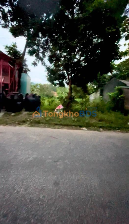 Đất băng 1 Tam Đảo 151m² 1,15 tỷ - Sổ đỏ chính chủ