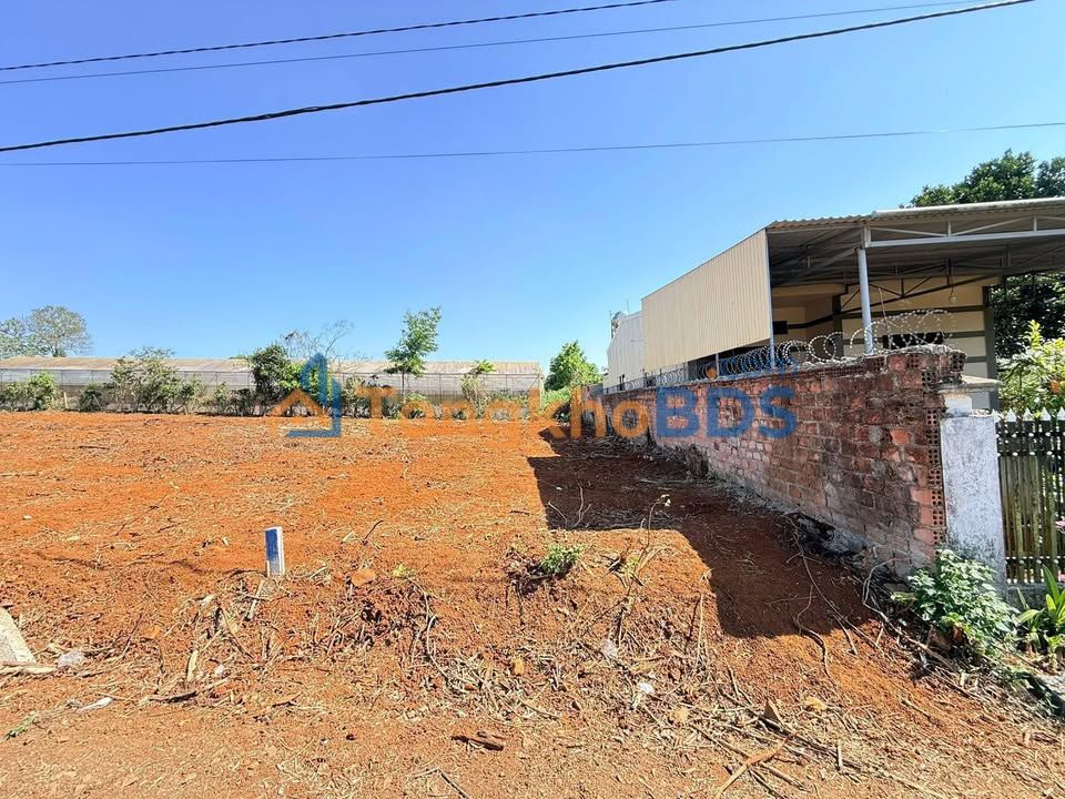 Đất nền Nguyễn Tuân Pleiku 160m2 890 triệu - Đất thổ cư 100%