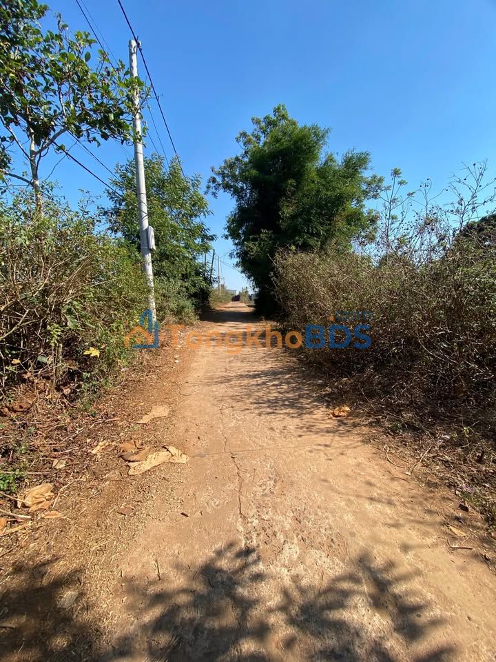 Đất nền An Phú Pleiku 320m2 giá 1 tỷ - Sổ đỏ chính chủ