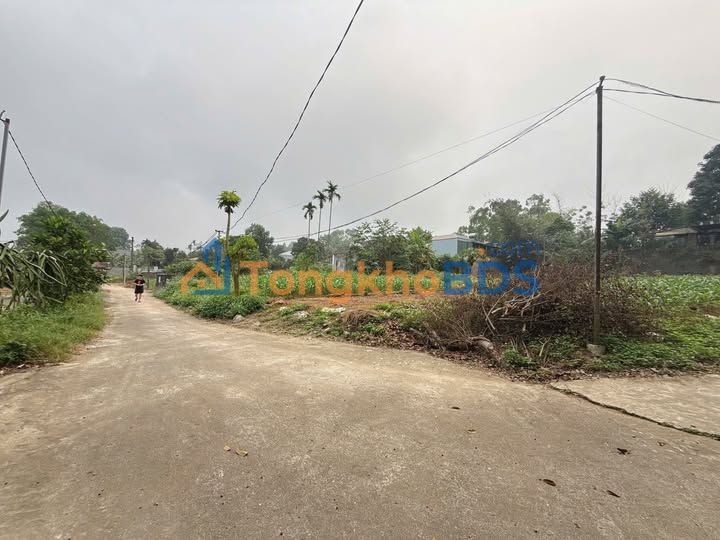 Đất nền Tiên Kiên Lâm Thao 130m² thỏa thuận - Tiềm năng tăng giá