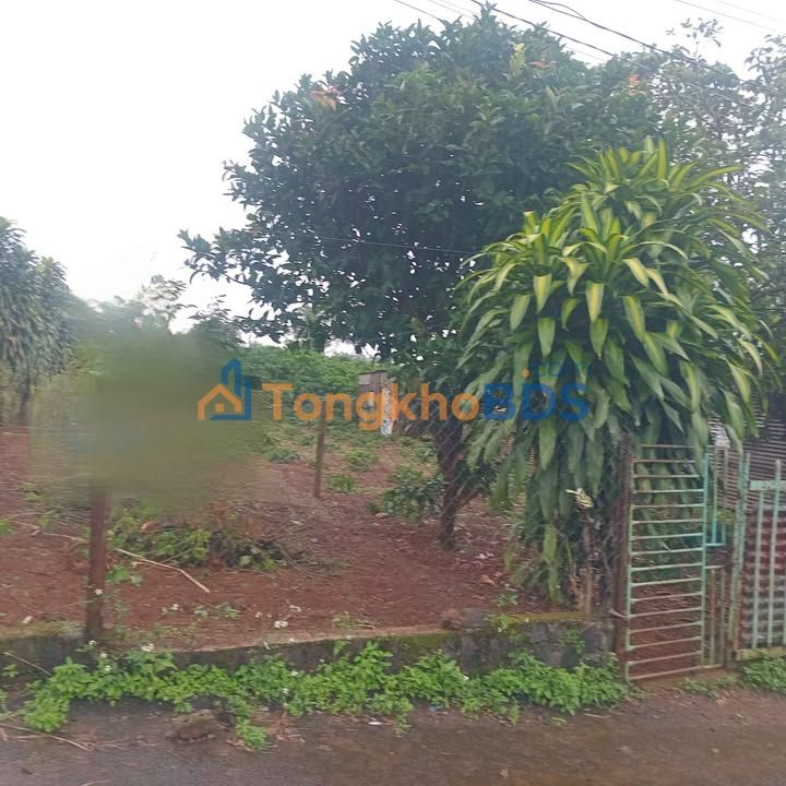 Đất nền Phường 2 Bảo Lộc 210m² 550 triệu - Sổ đỏ chính chủ