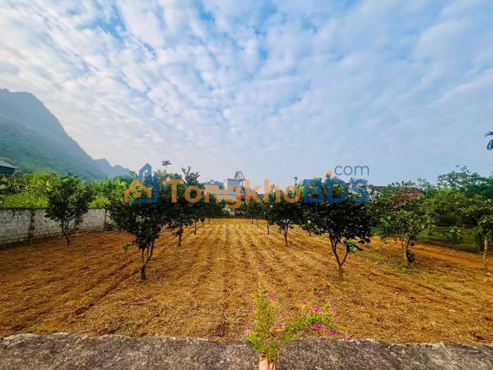 Đất nền Yên Trị 500m² giá 1 tỷ - Đất thổ cư 100%