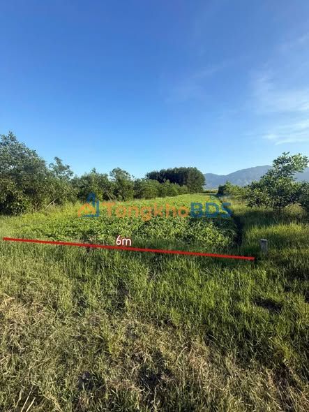 Đất nền Cam An Nam Cam Ranh 519m² 280 triệu - Tiềm năng tăng giá